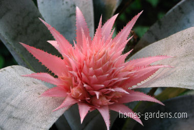 Plants want seasonal change